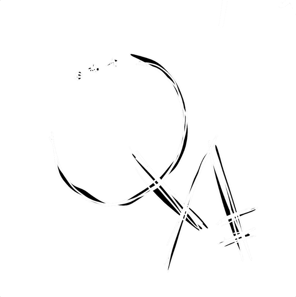 Quinn Anthony logo